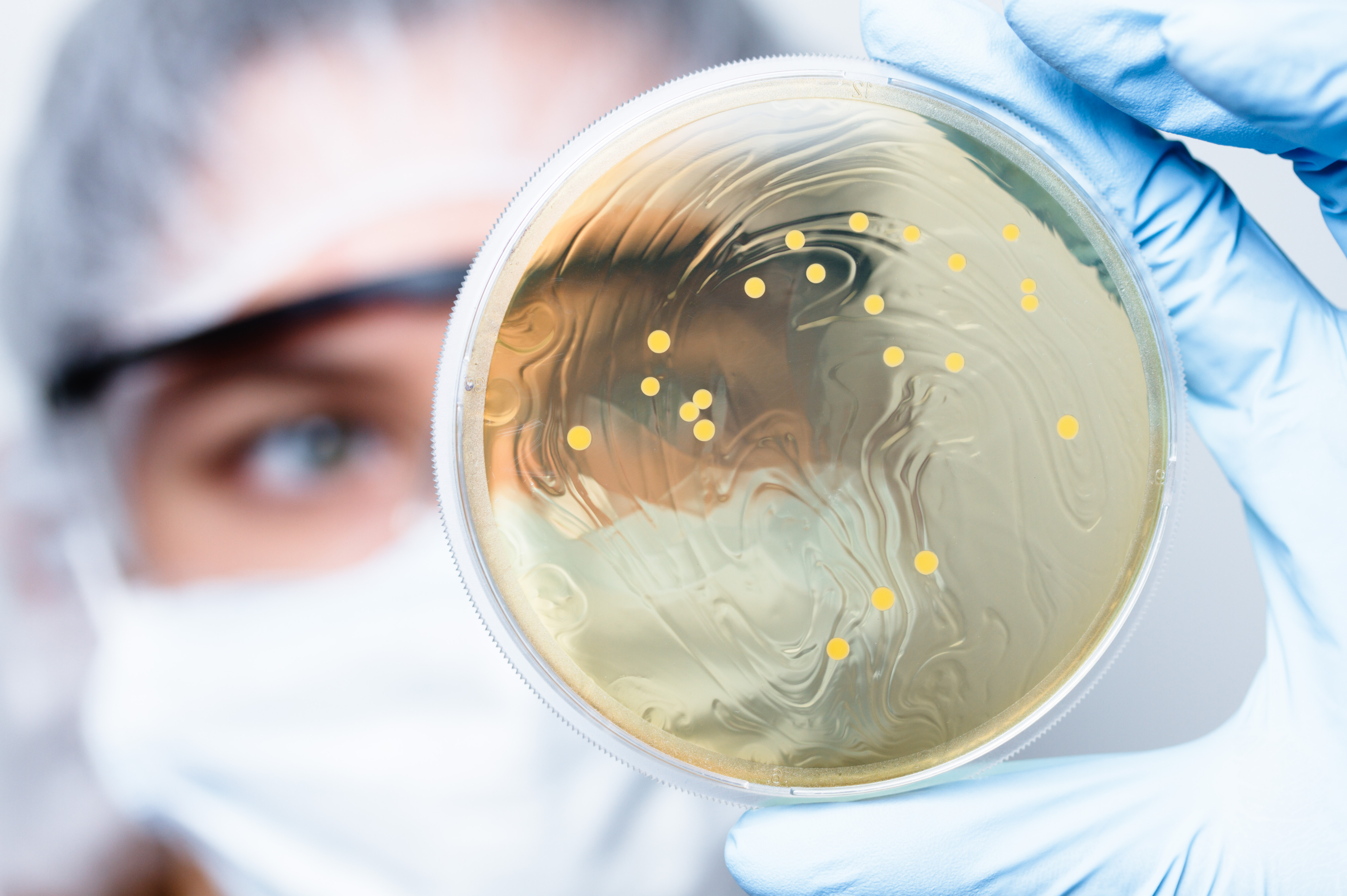 SteriLab™ Testing Services – Microbiology